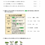 Thumbnail of post image 039