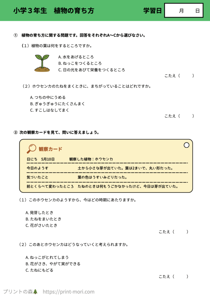 小３理科　植物の育ち方