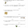 小２算数　文章問題２