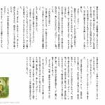 小5国語　文章問題１