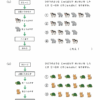 小１プログラミング　くりかえし１