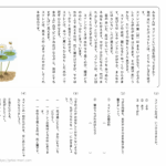 小２国語　文章問題１５