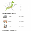 小学５年生　社会　工業１　【解説付き】無料プリント問題