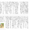 小5国語　文章問題１１