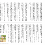 小5国語　文章問題１１